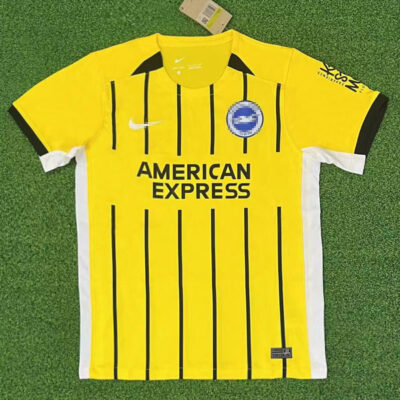 Brighton Away Jersey 2024-25 1