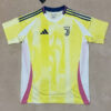 Juventus Away Jersey 2024-25 1