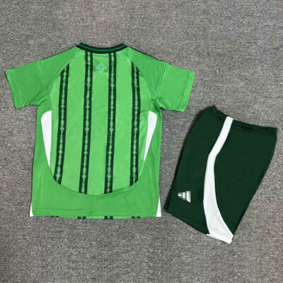 Northern Ireland Home Kit Kids 2024 2