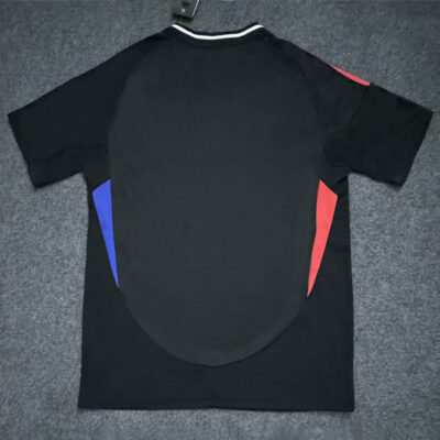Olympique Lyon Away Jersey 2024-25 2