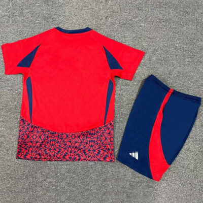 Costa Rica Home Kit Kids 2024 2