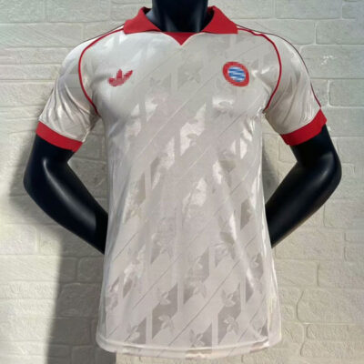 Bayern Munich Special Soccer Jersey 2024-25 Player Version 1