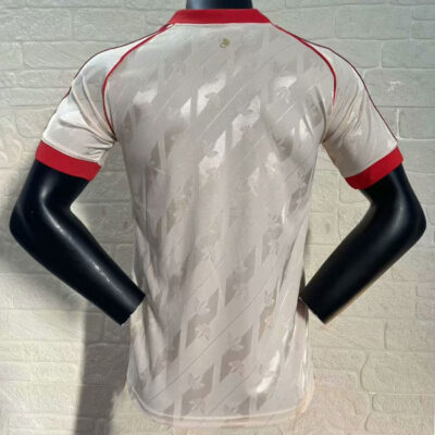 Bayern Munich Special Soccer Jersey 2024-25 Player Version 2