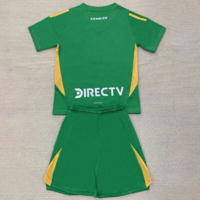 Boca Juniors Goalkeeper Soccer Kit Kids 2024-25 Green 2