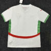 Morocco Away Soccer Jersey 2024 2