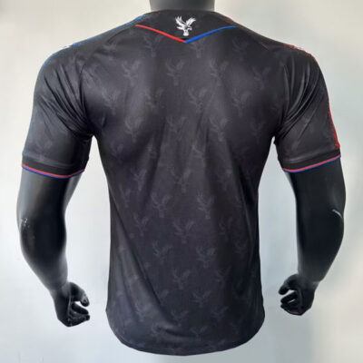 Crystal Palace Third Soccer Jersey 2024-25 Player Version 2