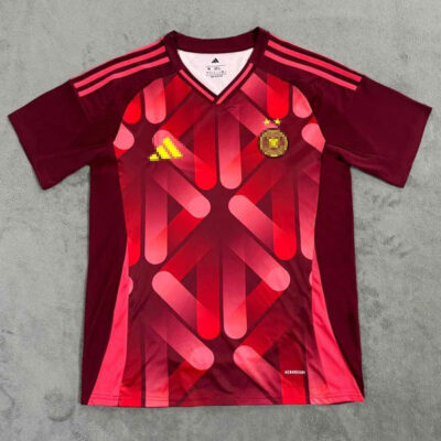 Germany Away Jersey 2025 Woman European Cup
