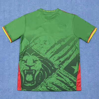 Cameroon Home Soccer Jersey 2025 2