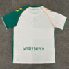 Werder Bremen Special Jersey 2025/26 2