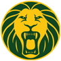 Cameroon logo patch