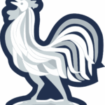France National Football Team logo