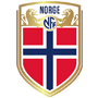 Norway logo patch
